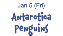 Jan 5 (Fri) Antarctica Penguins